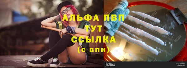 молекула духа Иннополис