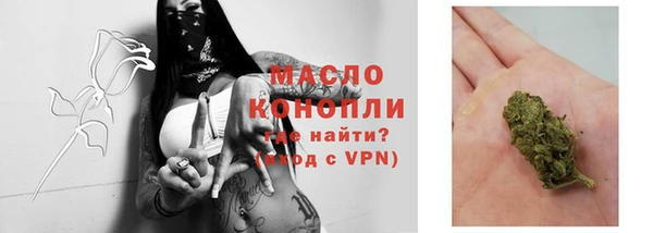 стаф Инта
