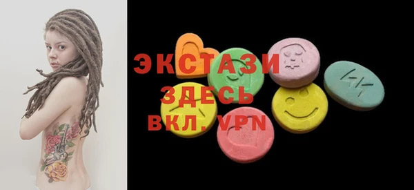 стаф Инта