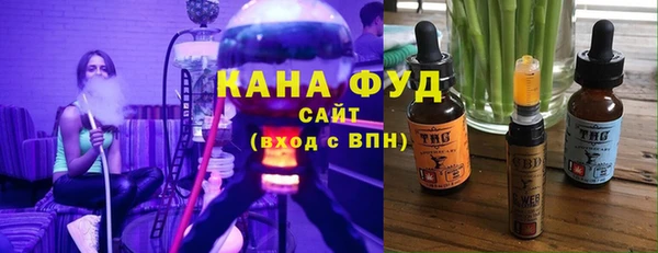 стаф Инта