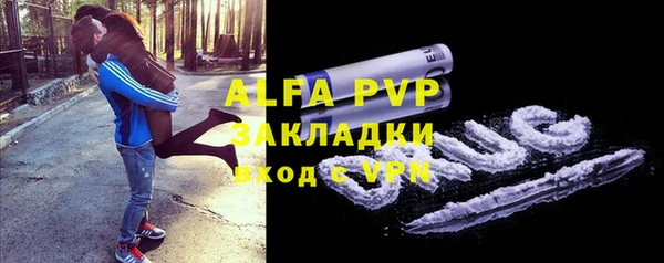 стаф Инта
