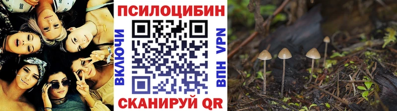 Псилоцибиновые грибы мухоморы Салехард